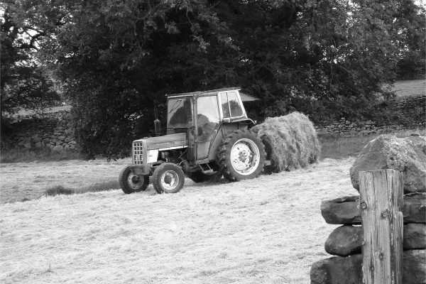 Haytime in Nidderdale